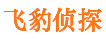 宁城侦探公司